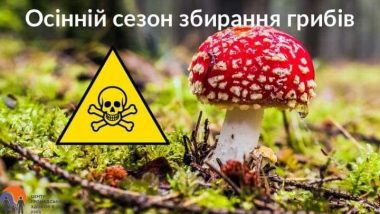 ОСІННІЙ СЕЗОН ЗБИРАННЯ ГРИБІВ