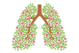 30 травня – Всесвітній день боротьби проти астми та алергії