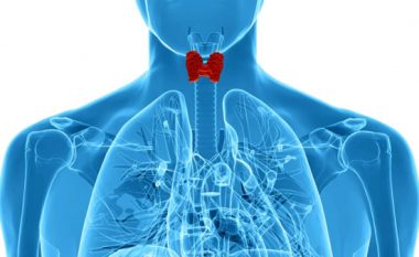 25 травня - Всесвітній день щитовидної залози