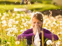 За рішенням Всесвітньої організації охорони здоров’я щорічно 30 травня відзначається Всесвітній день боротьби проти астми і алергії