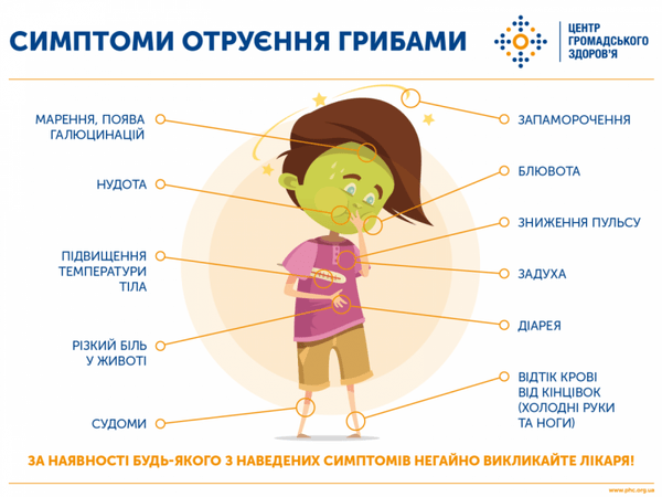 Будьте обережні: з’явилися дикорослі гриби