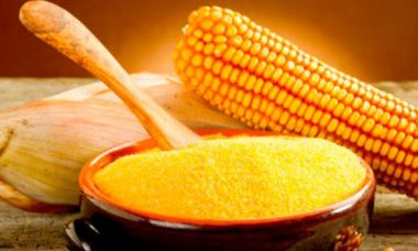 КУКУРУДЗА – ЗОЛОТА СКАРБНИЧКА ПОЖИВНИХ РЕЧОВИН