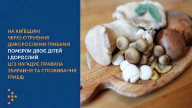 НА КИЇВЩИНІ ЧЕРЕЗ ОТРУЄННЯ ДИКОРОСЛИМИ ГРИБАМИ ПОМЕРЛИ ДВОЄ ДІТЕЙ І ДОРОСЛИЙ. ЦГЗ НАГАДУЄ ПРАВИЛА ЗБИРАННЯ ТА СПОЖИВАННЯ ГРИБІВ