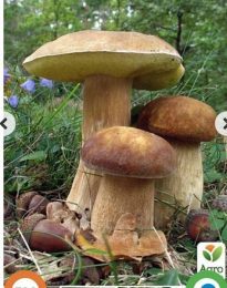 Жовтяниця - це жовте забарвлення шкіри новонароджених