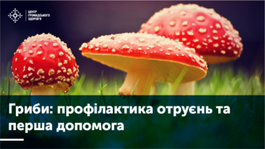 Гриби: профілактика отруєнь та перша допомога Гриби: профілактика отруєнь та перша допомога