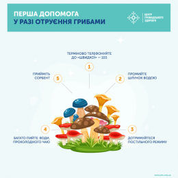 Перша допомога у разі отруєння грибами