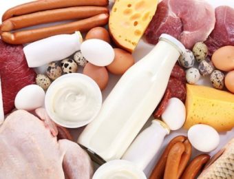 Білки тваринного походження