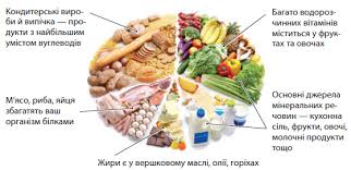 6 основних поживних речовин, які потрібні нашому організму