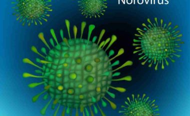 Що таке НОРОВІРУС