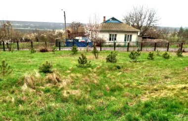 День довкілля 2023 року припадає на 15 квітня