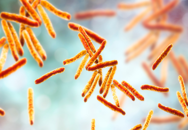 Що таке туберкульоз?