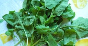 Редиска – користь та шкода