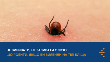 НЕ ВИРИВАТИ, НЕ ЗАЛИВАТИ ОЛІЄЮ: ЩО РОБИТИ, ЯКЩО ВИ ВИЯВИЛИ НА ТІЛІ КЛІЩА