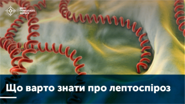 Що варто знати про лептоспіроз