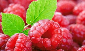 Які дачні трави можна змішувати для корисного чаю