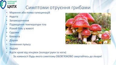 ЯК НЕ ОТРУЇТИСЯ ГРИБАМИ