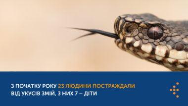 З ПОЧАТКУ РОКУ 23 ЛЮДИНИ ПОСТРАЖДАЛИ ВІД УКУСІВ ЗМІЙ, З НИХ 7 – ДІТИ