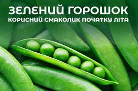 ЗЕЛЕНИЙ ГОРОШОК – СУПЕРФУД У СТРУЧКАХ