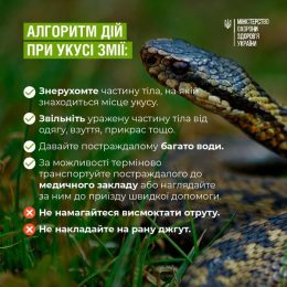 Алгоритм дій при укусах змій