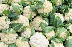 Цвітна капуста