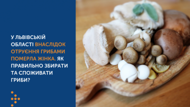У ЛЬВІВСЬКІЙ ОБЛАСТІ ВНАСЛІДОК ОТРУЄННЯ ГРИБАМИ ПОМЕРЛА ЖІНКА. ЯК ПРАВИЛЬНО ЗБИРАТИ ТА СПОЖИВАТИ ГРИБИ?