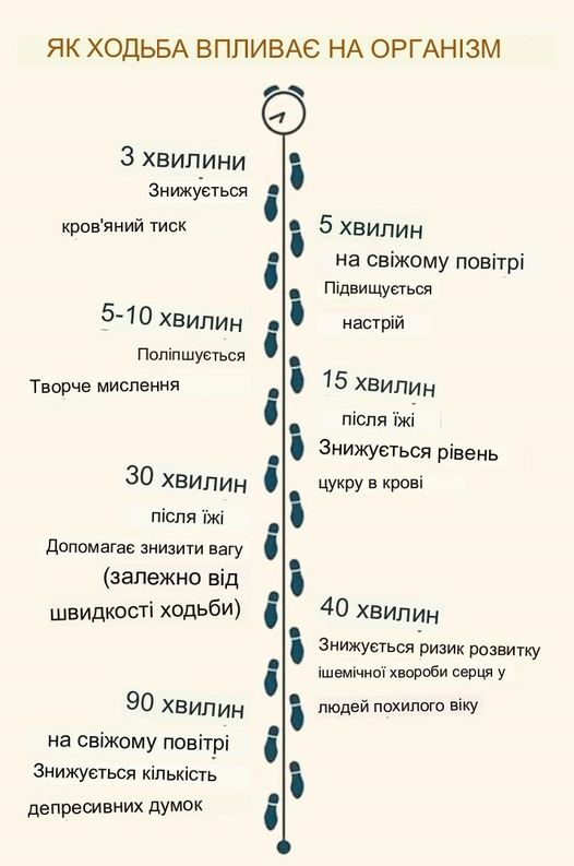 Високий рівень холестерину в крові є небезпечним викликом для серця й судин