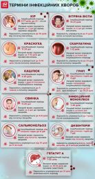Терміни інфекційних хвороб