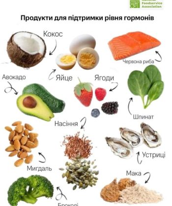 420114185_3470912353221284_7076769592020894088_n