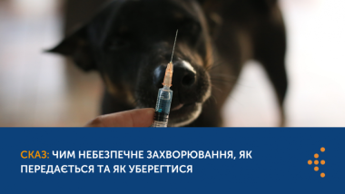 Сказ