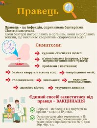 Правець