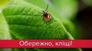 Чим тепліше на вулиці — тим більша ймовірність зустріти кліщів!