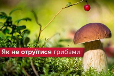 Про дотримання правил безпеки при збиранні грибів та їх споживанні
