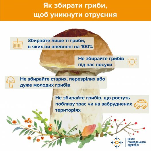Як збирати гриби, шоб уникнути отруєння