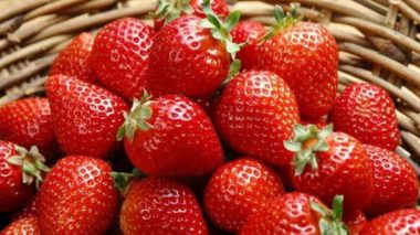 Полуниця, вишня, черешня - користь та шкода для здоров'я