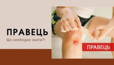 Правець