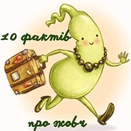 Що потрібно знати про жовч