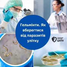 Літо- період підвищується ризик зараження паразитарними хворобами