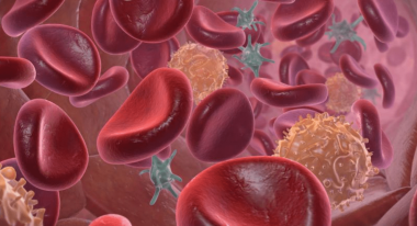 Всесвітній день антифосфоліпідного синдрому