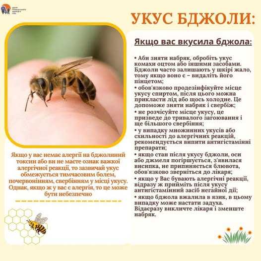 Якщо вас вкусила бджола: