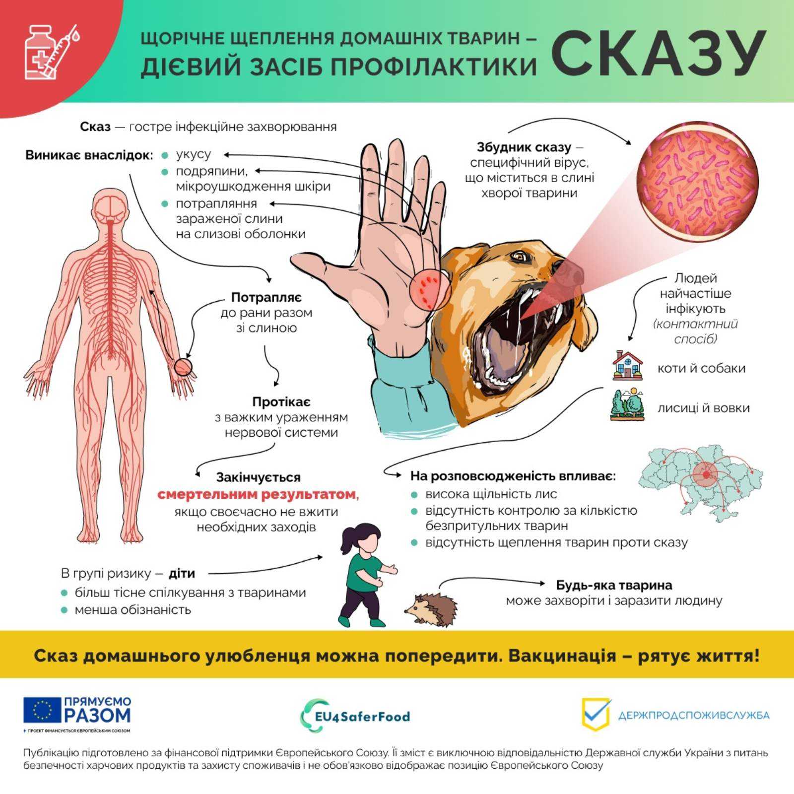 Сказ: що важливо знати