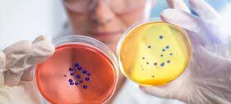 ПОСІВ + АНТИБІОТИКОГРАМА: ДЛЯ ЧОГО ВОНО ПОТРІБНЕ?