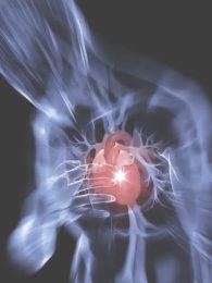 Зима — сезон серцевих нападів