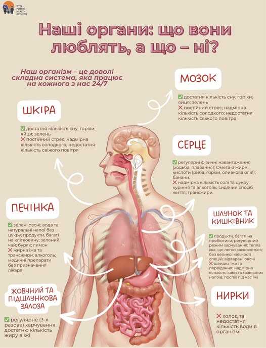 Наші органи: що вони люблять, а що – ні?