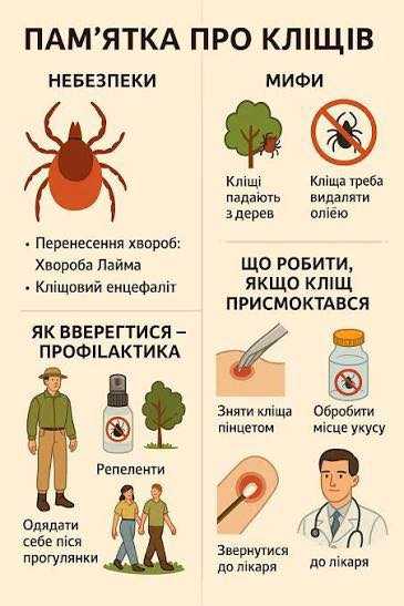 Активізація кліщів