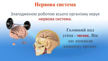 ЯК ЗМЕНШИТИ ПЕРЕВАНТАЖЕННЯ НЕРВОВОЇ СИСТЕМИ У ДИТИНИ?