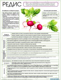 Всесвітній день печінки: стійкі звички — фундамент громадського здоров’я