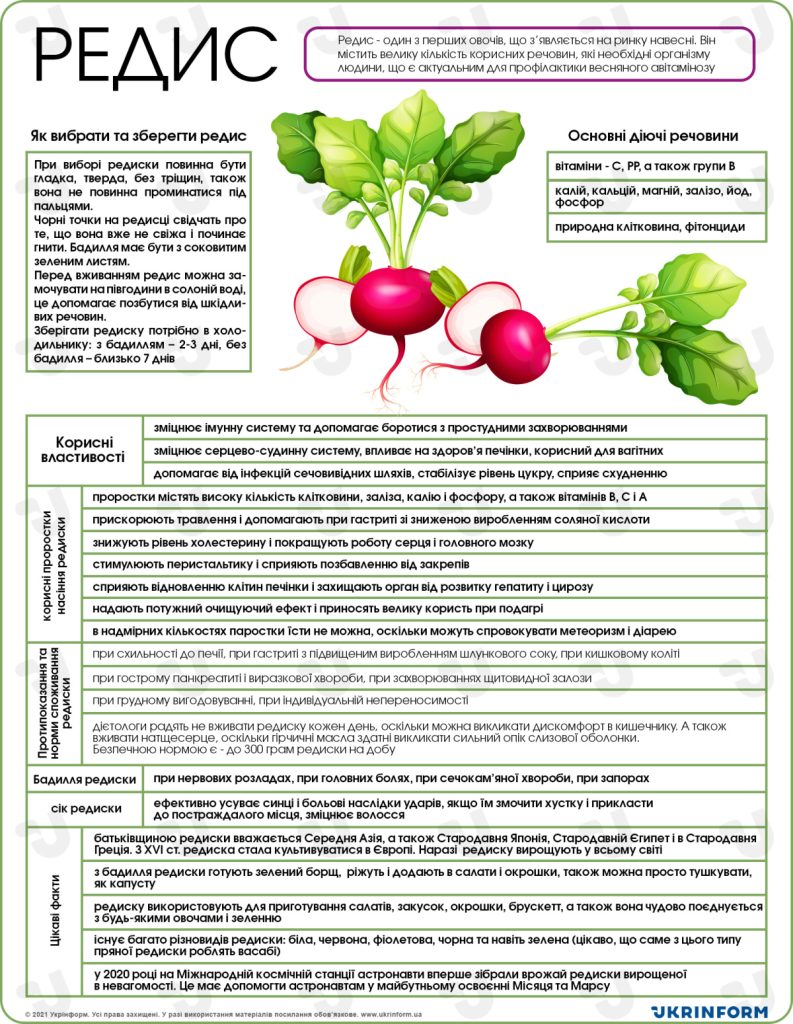 Як вибрати та зберегти редис