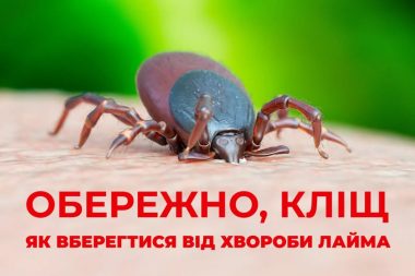 ХВОРОБА ЛАЙМА: РИЗИК, ПРИЧИНИ, СИМПТОМИ ТА ВАЖЛИВІСТЬ СВОЄЧАСНОГО ЛІКУВАННЯ