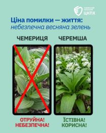 Не тільки цироз: як алкоголь шкодить печінці