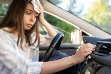 У сонячний день від 20C салон авто може нагріватися дуже швидко